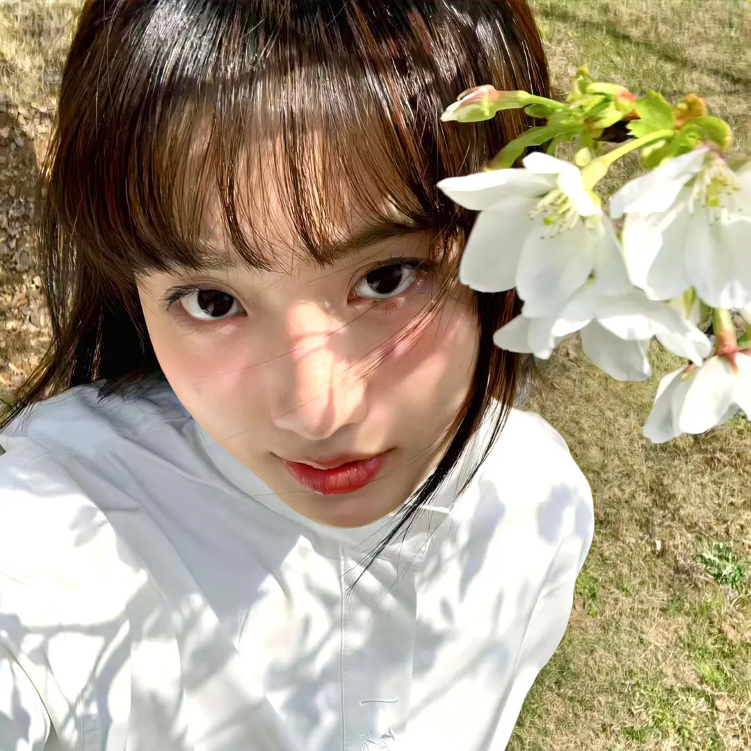 美食总动员